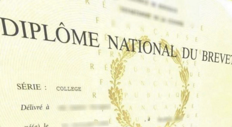 De Bons Résultats Au Diplôme National Du Brevet ! | COLLEGE SAINT ...